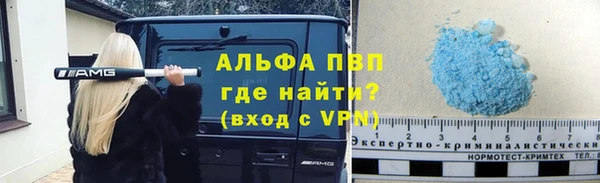 шишки Алзамай