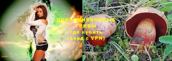 шишки Алзамай