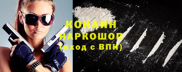 шишки Алзамай