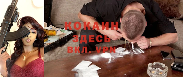 шишки Алзамай