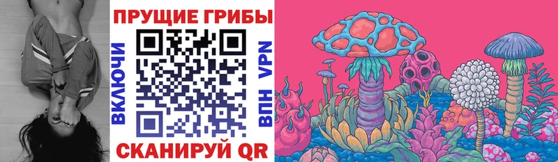 даркнет сайт  МЕГА зеркало  Галлюциногенные грибы Cubensis  Агидель 