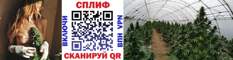 маркетплейс состав  продажа наркотиков  Агидель  Канабис Bruce Banner 